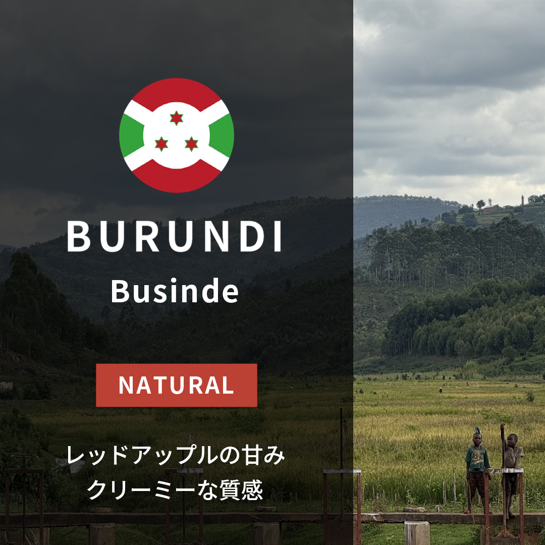 Burundi Businde Natural(24/25年クロップ)