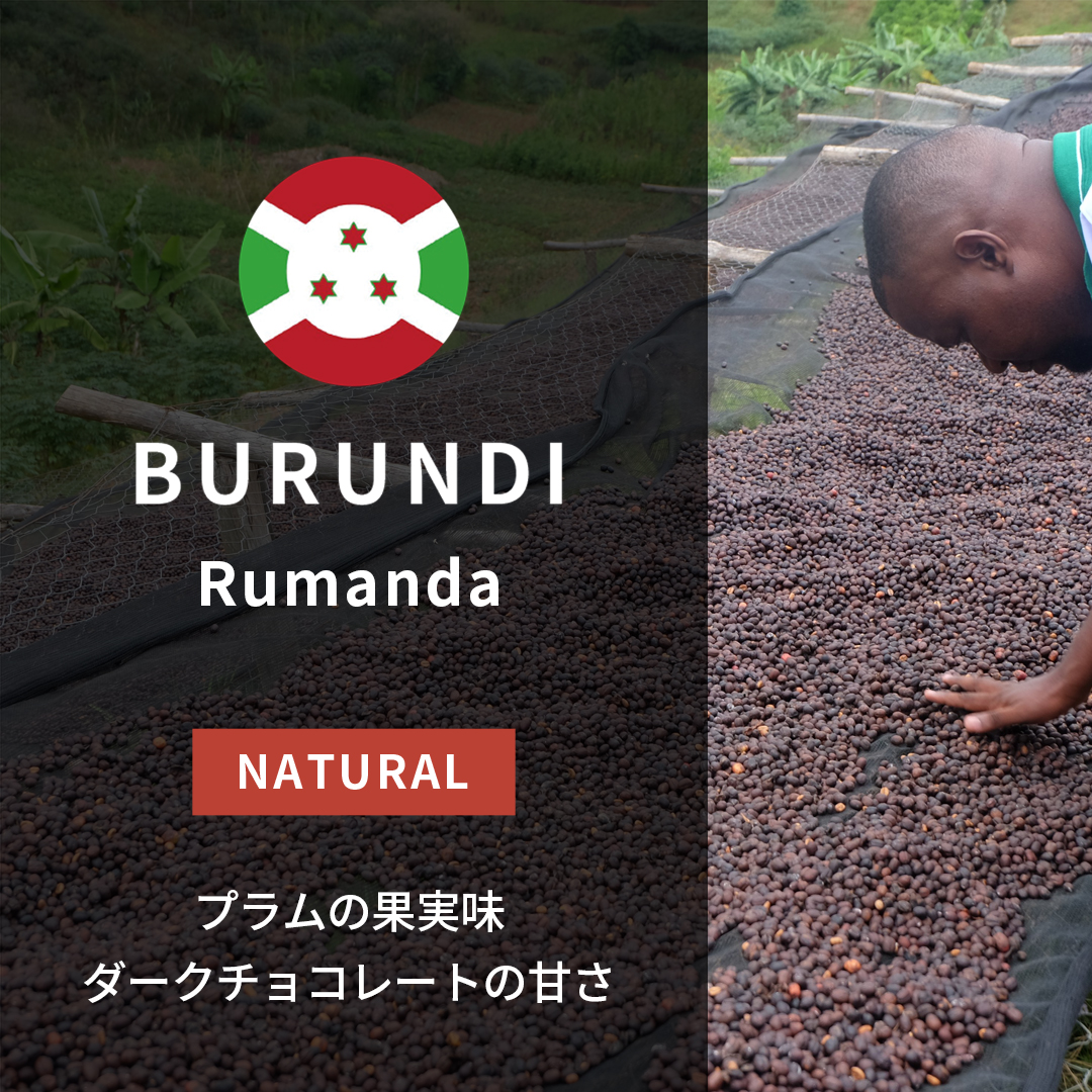 Burundi Rumanda Natural(24/25年クロップ)