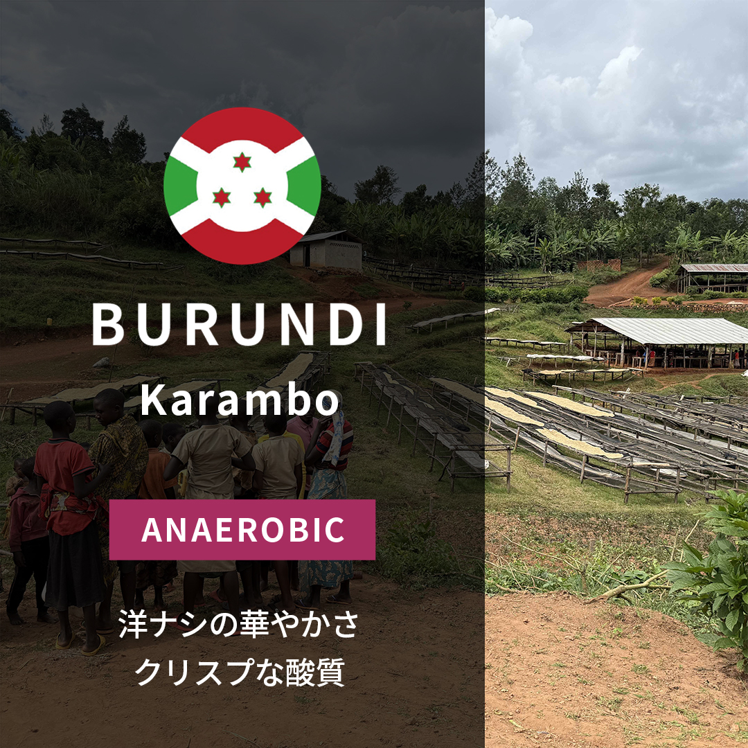Burundi Karambo Anaerobic Natural(24/25年クロップ)