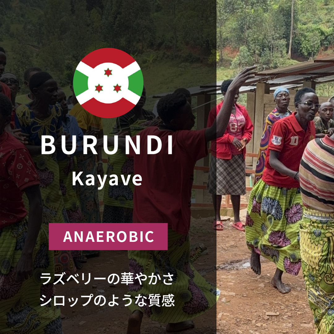 Burundi Kayave Anaerobic Natural(24/25年クロップ)