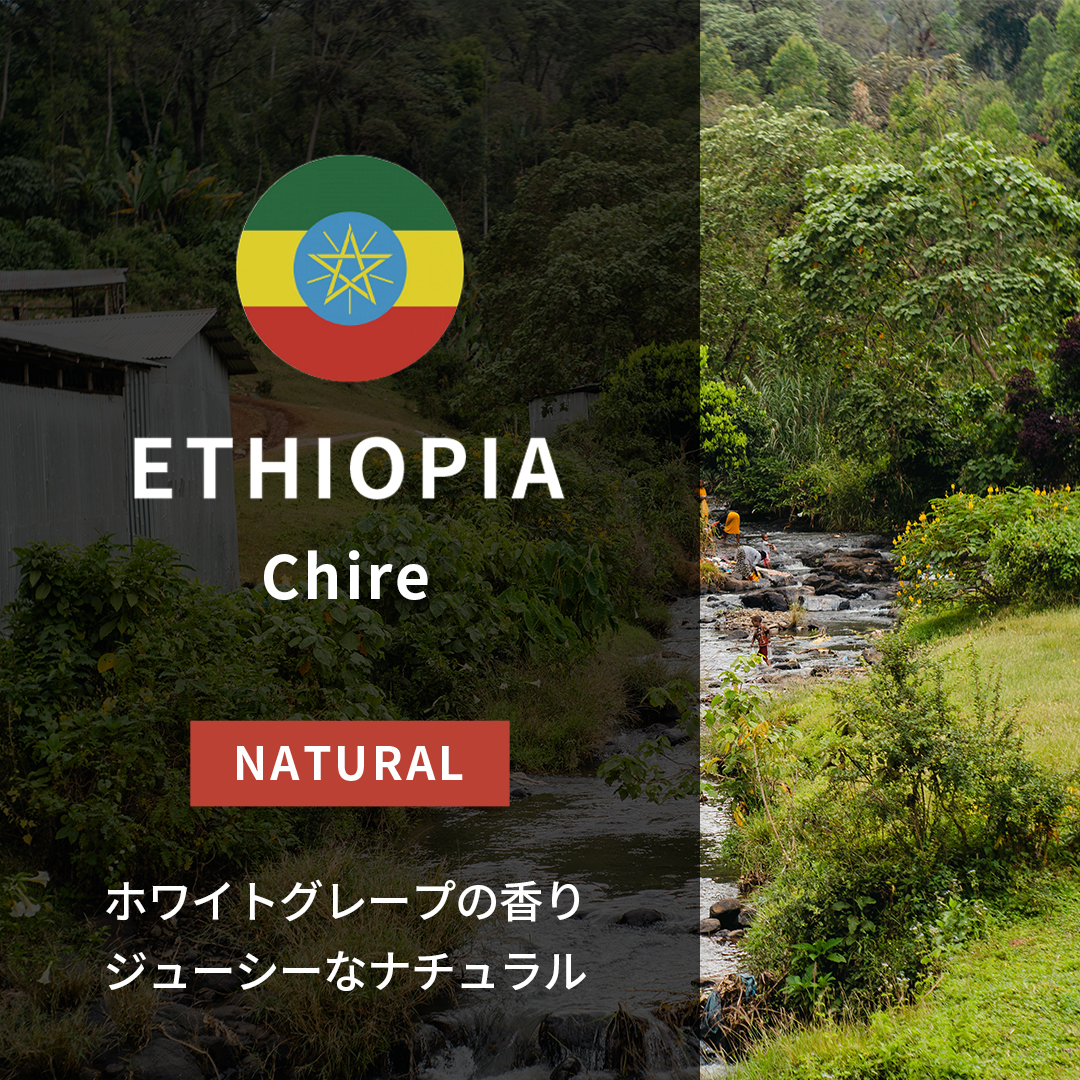 Ethiopia Chire Natural(25/26年クロップ)