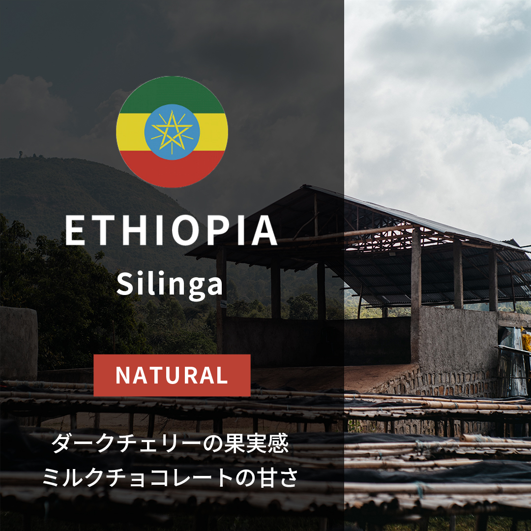 Ethiopia Silinga Natural(25/26年クロップ)