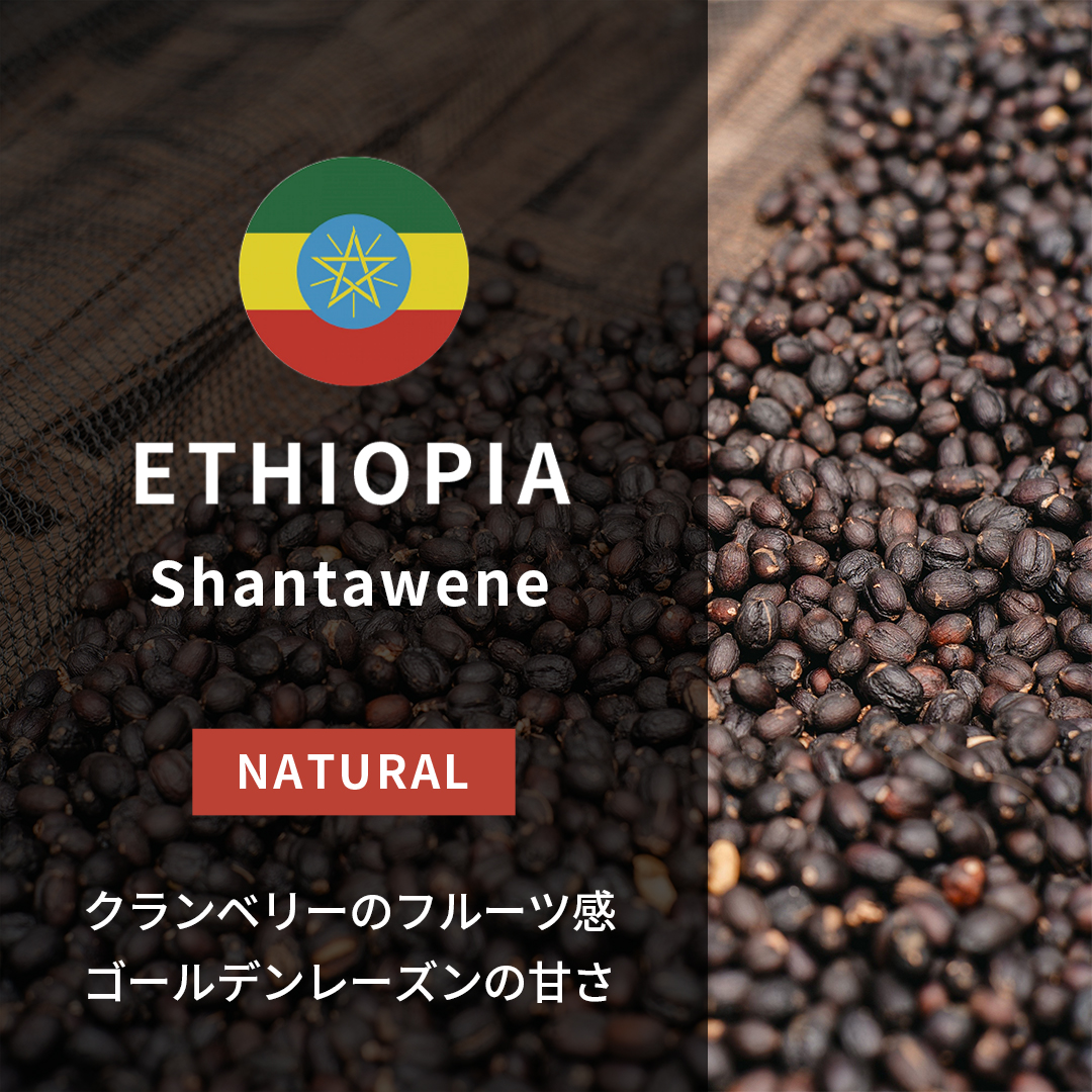 Ethiopia Shantawene Natural(25/26年クロップ)