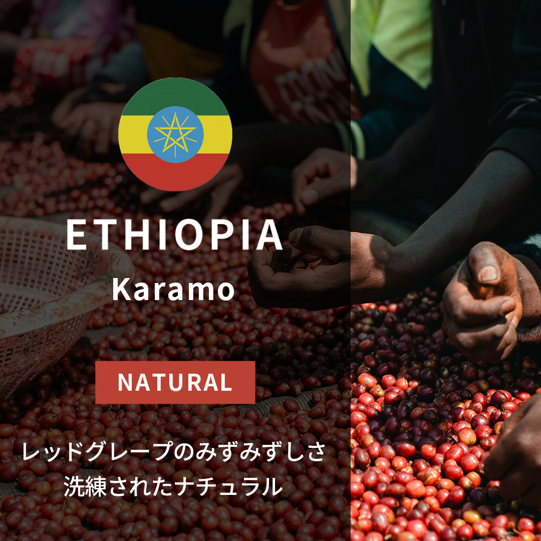Ethiopia Karamo Natural(25/26年クロップ)