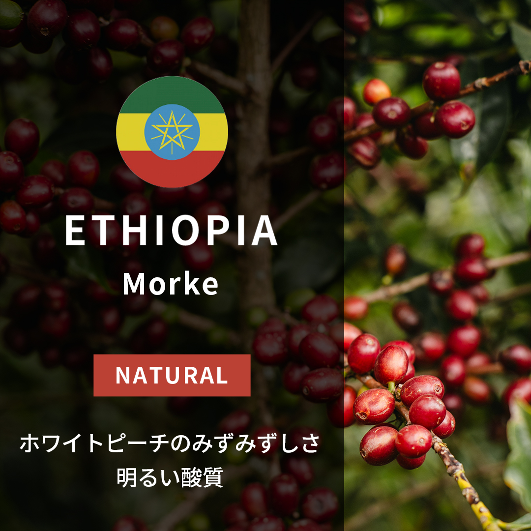 Ethiopia Morke Natural(25/26年クロップ)