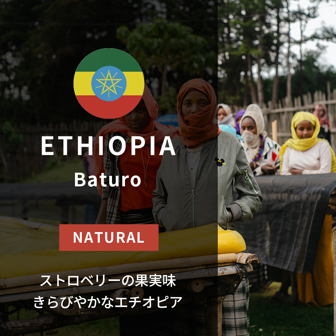 Ethiopia Baturo Natural(25/26年クロップ)