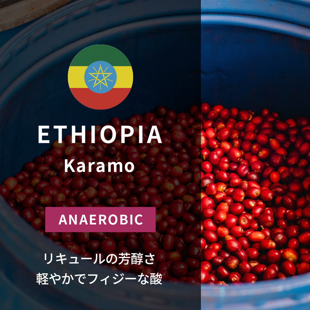 Ethiopia Karamo Anaerobic Natural(25/26年クロップ)