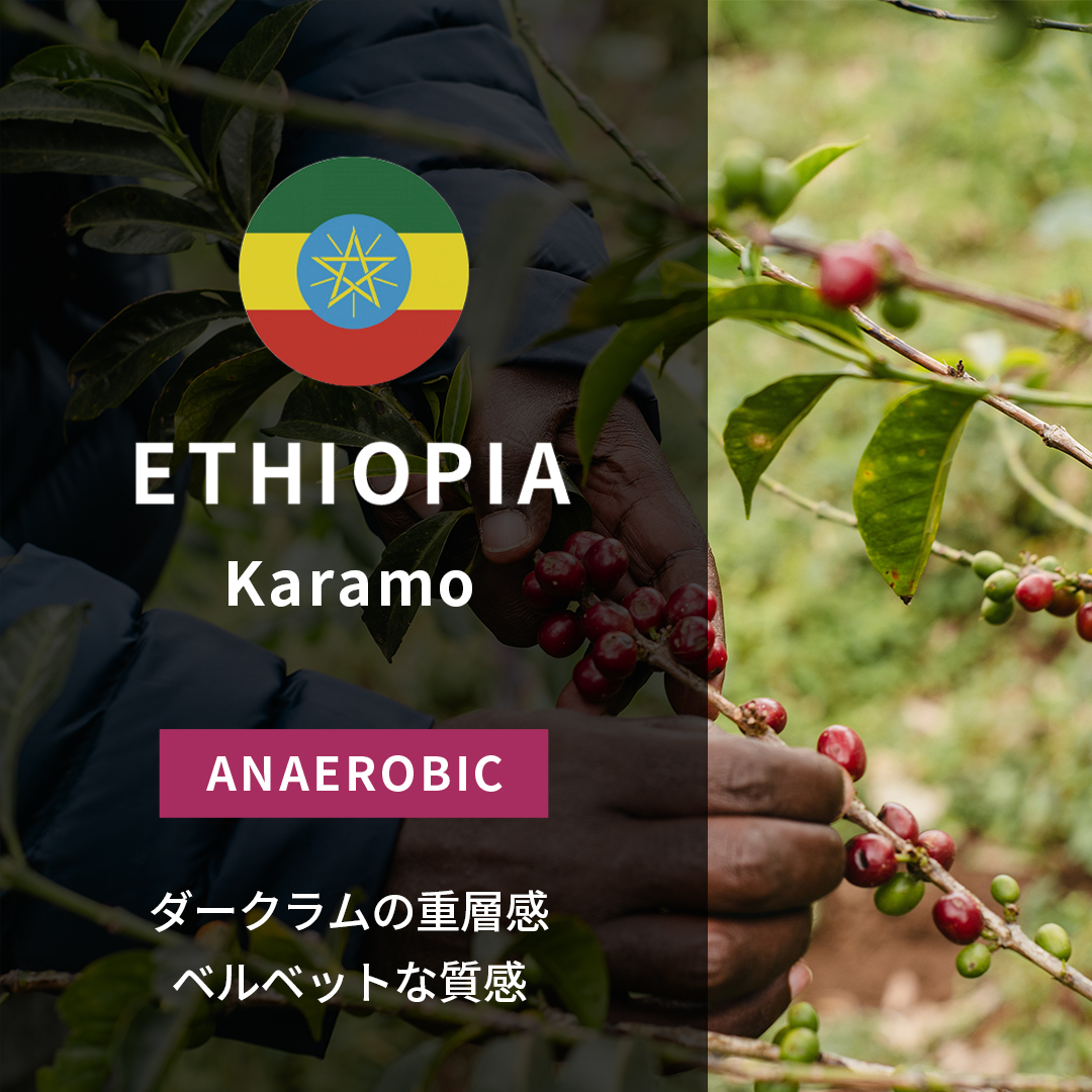 Ethiopia Karamo Thermal Shock Honey(25/26年クロップ)