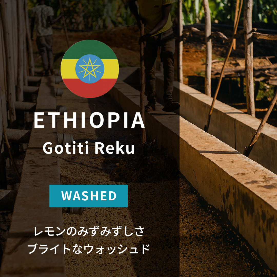 Ethiopia Gotiti Reku Washed(25/26年クロップ)