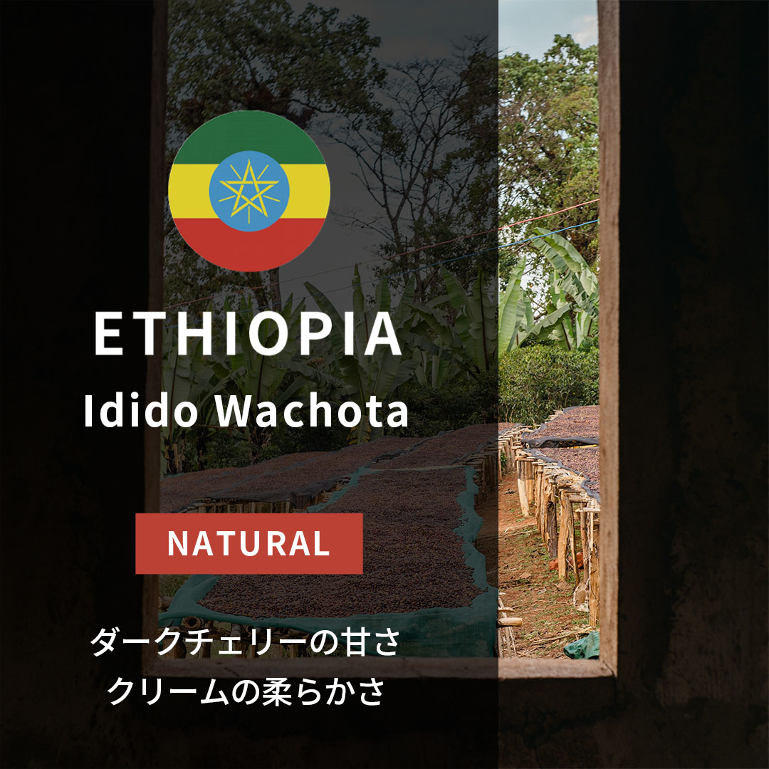 Ethiopia Idido Wachota Natural(25/26年クロップ)
