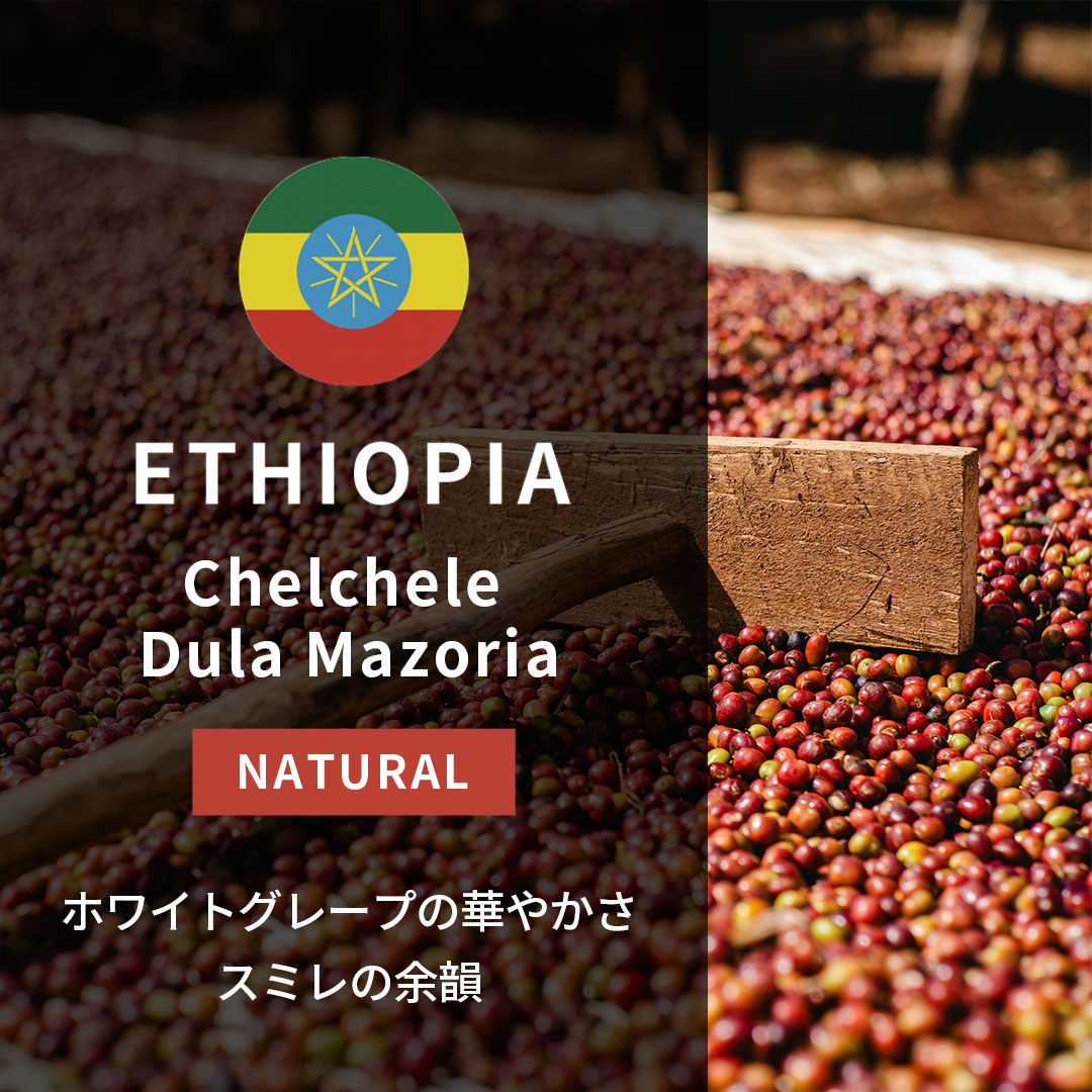 Ethiopia Chelchele Dula Mazoria Natural(25/26年クロップ)