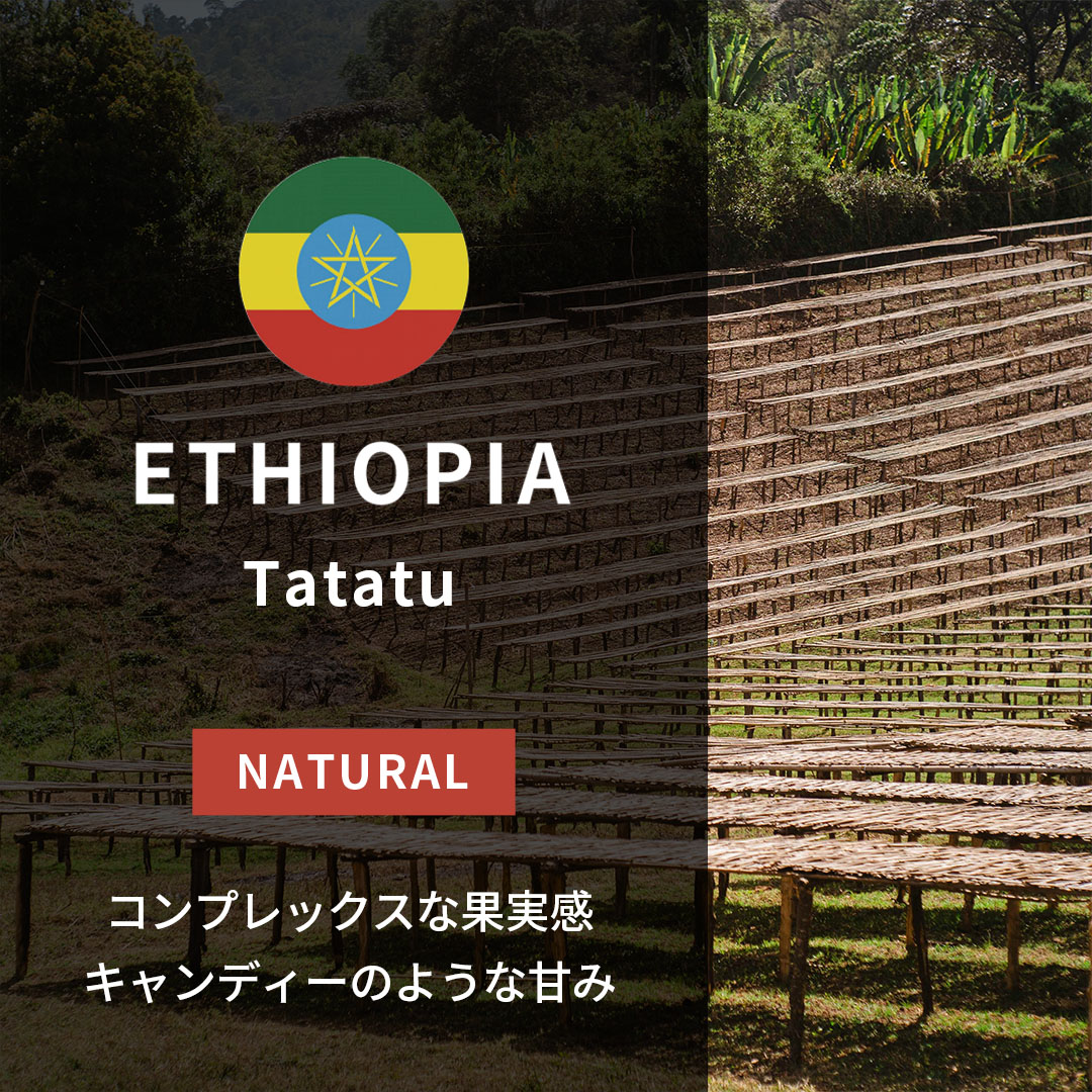 Ethiopia Tatatu Natural(25/26年クロップ)