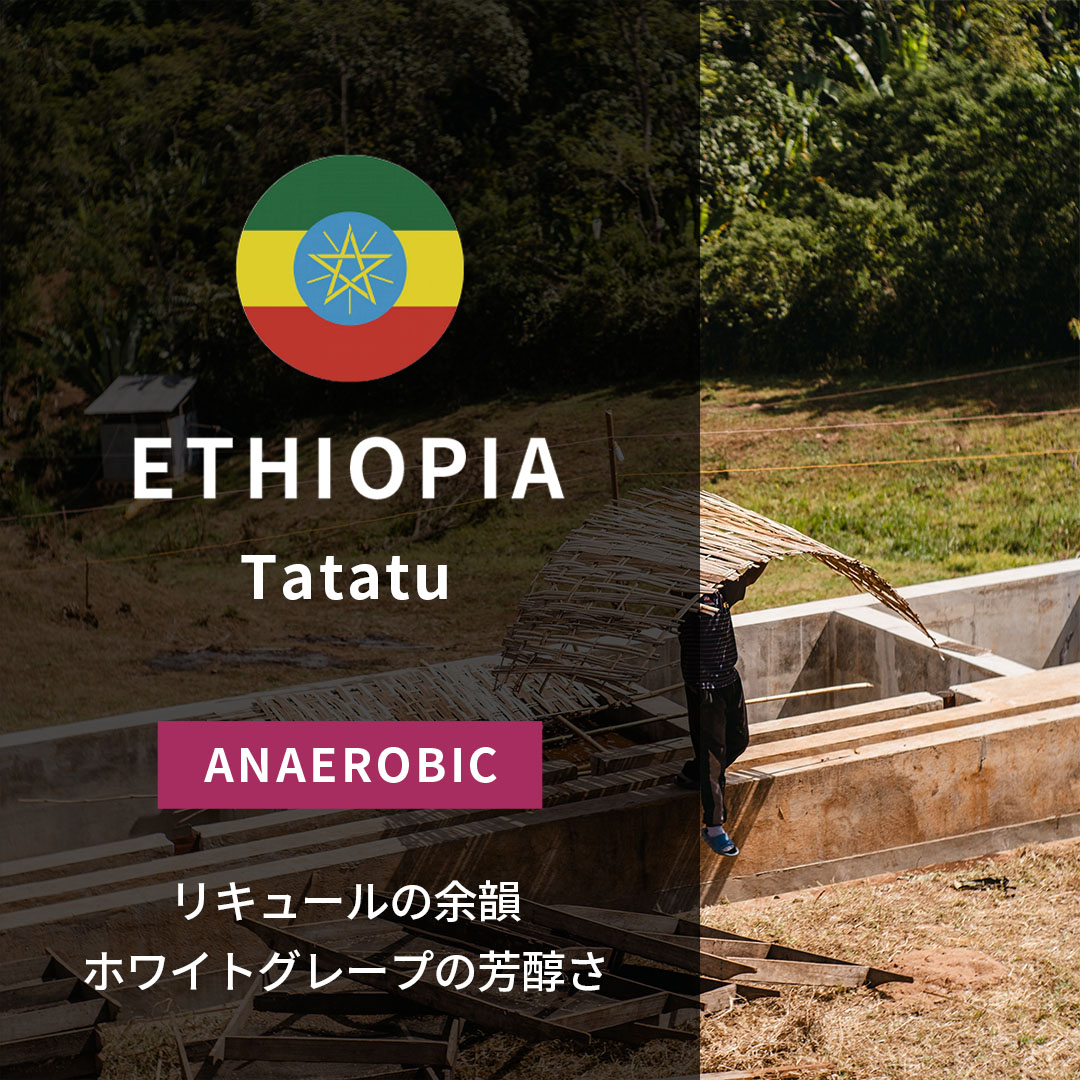 Ethiopia Tatatu Anaerobic Natural(25/26年クロップ)