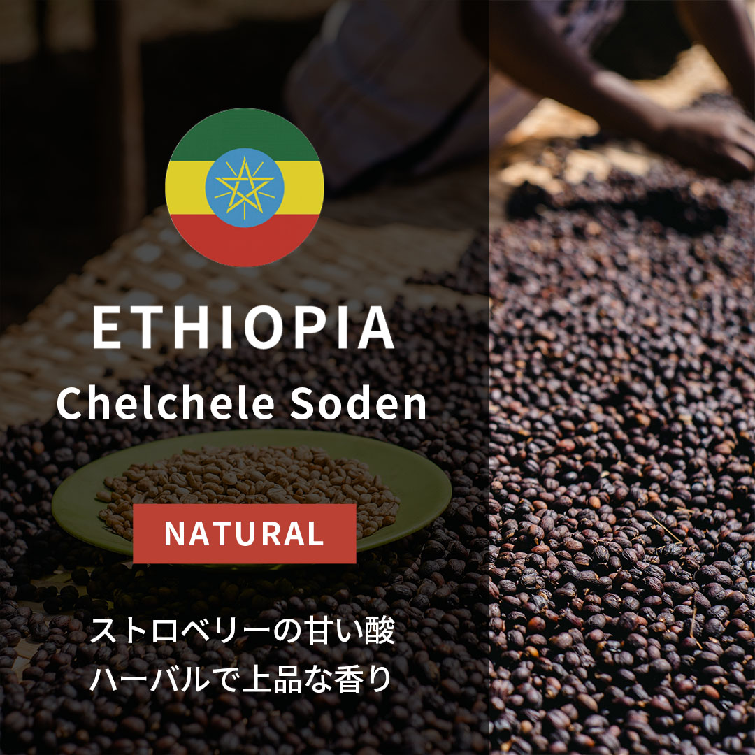 Ethiopia Chelchele Soden Natural(25/26年クロップ)