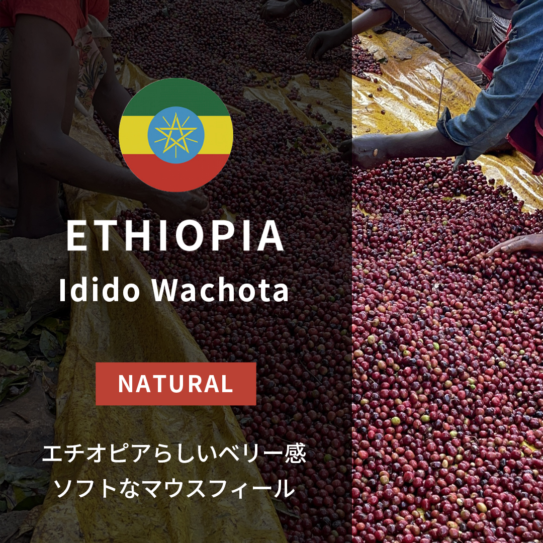Ethiopia Idido Wachota Natural(24/25年クロップ)