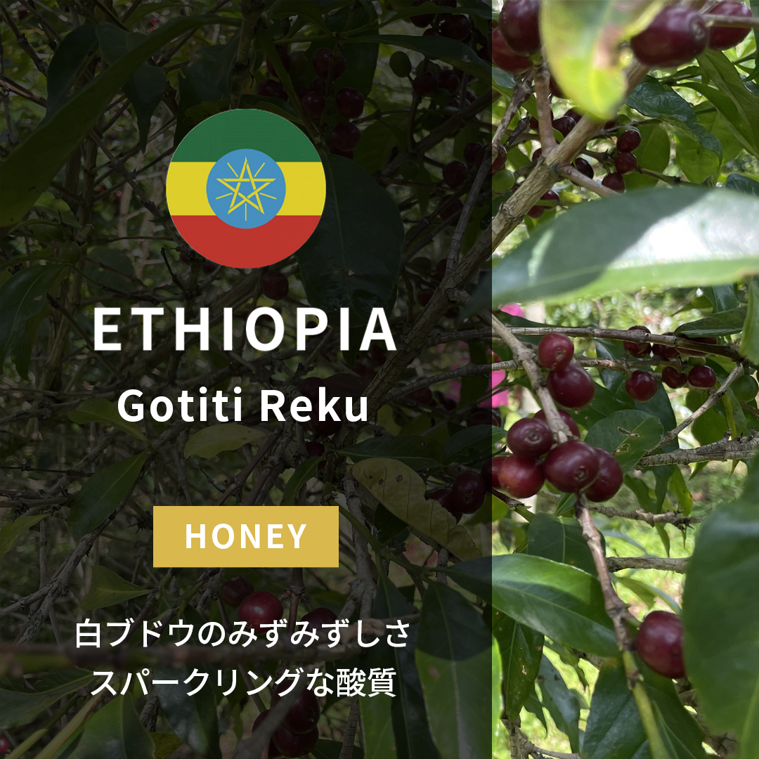 Ethiopia Gotiti Reku Custom Honey (24/25年クロップ)