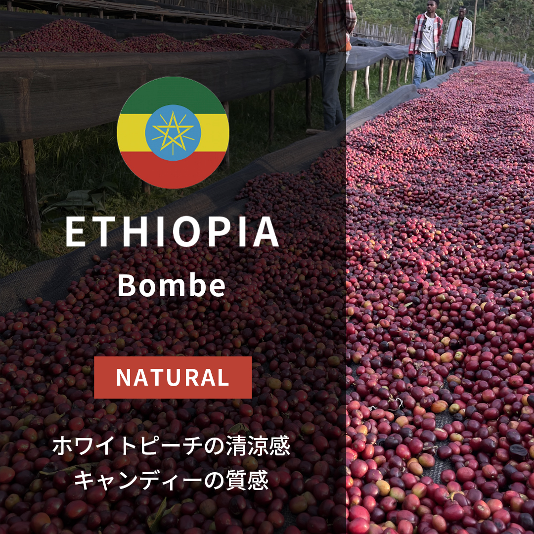 Ethiopia Bombe Lot.2 Natural(24/25年クロップ)