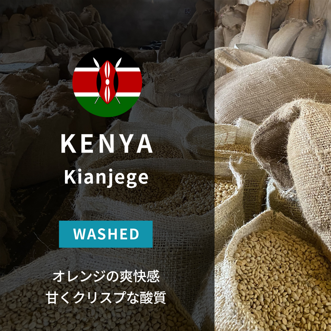 Kenya Kianjege Washed 24/25