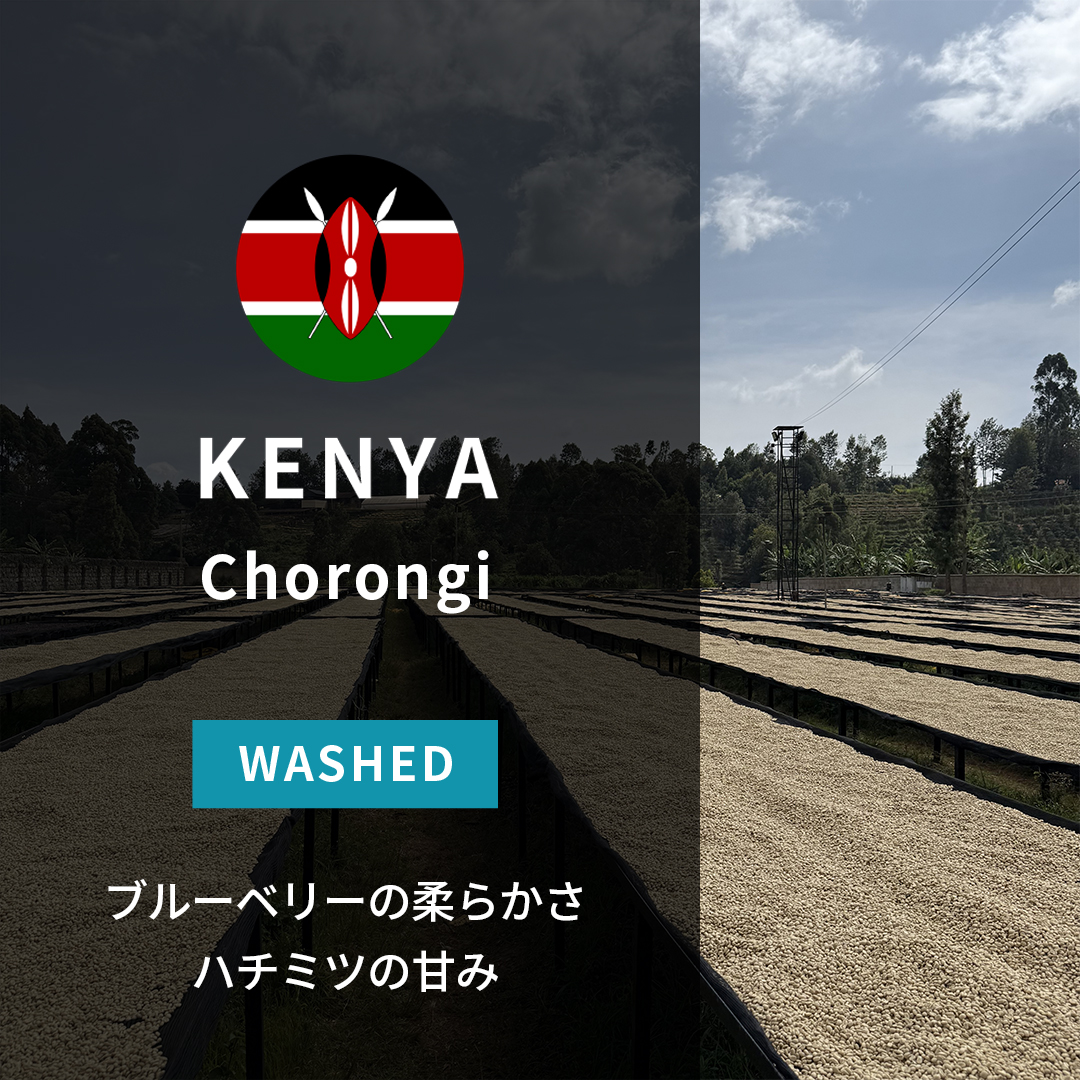 Kenya Chorongi Washed(25/26年クロップ)