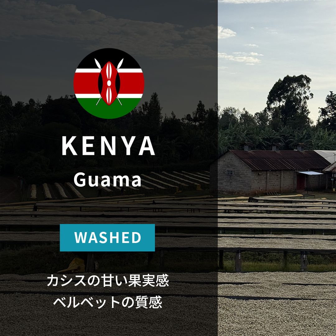 Kenya Guama Washed(25/26年クロップ)