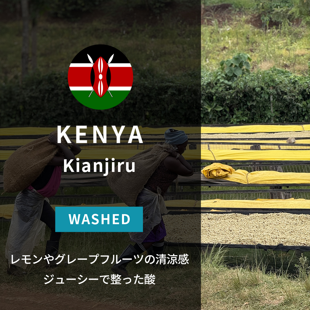 Kenya Kianjiru Washed(25/26年クロップ)