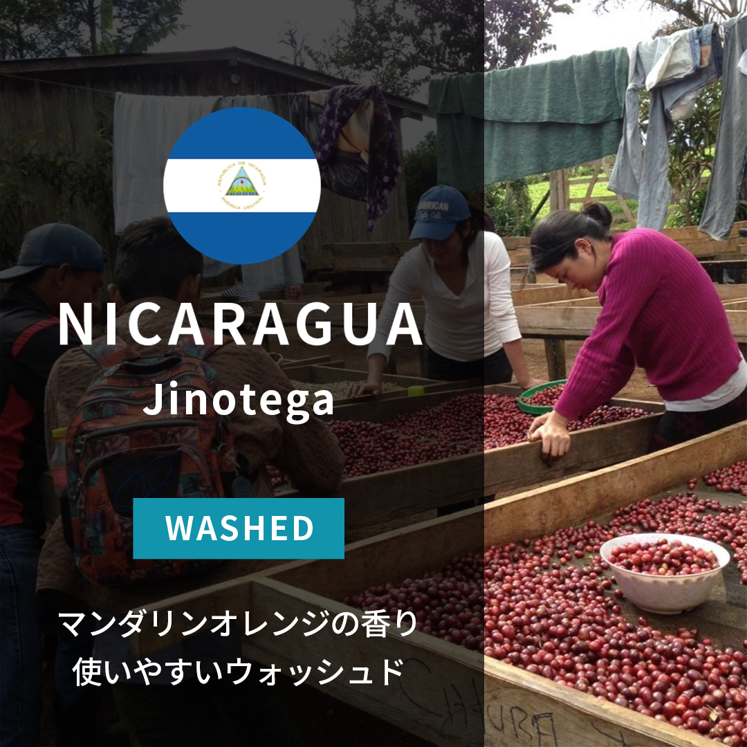 Nicaragua Jinotega Washed(25/26年クロップ)