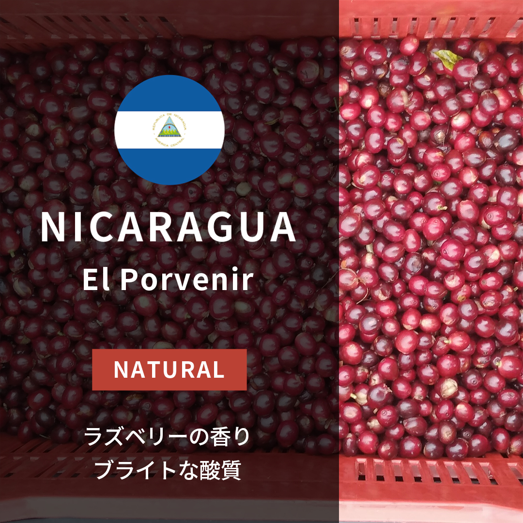 Nicaragua El Porvenir Natural(25/26年クロップ)
