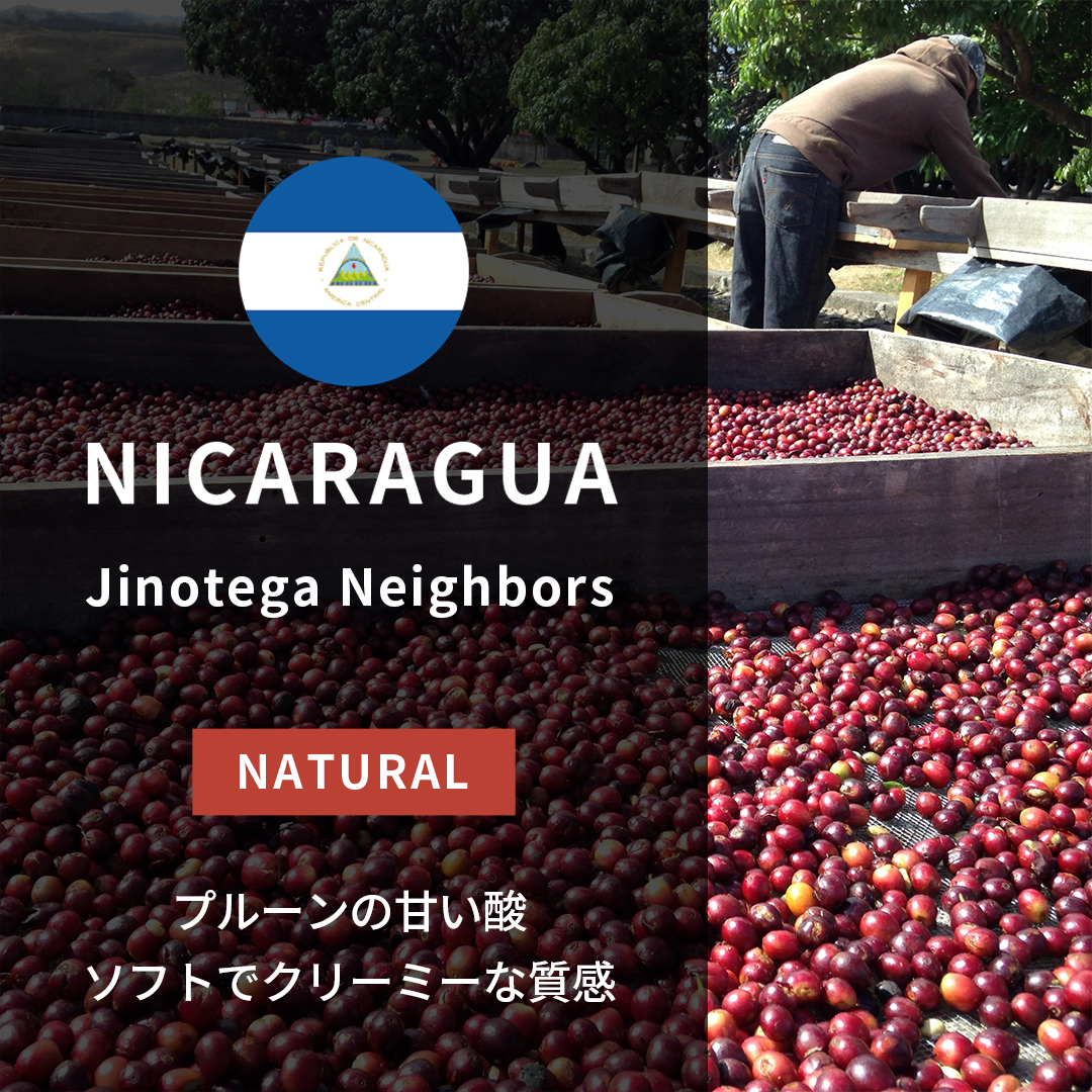 Nicaragua Jinotega Neighbors Natural(25/26年クロップ)
