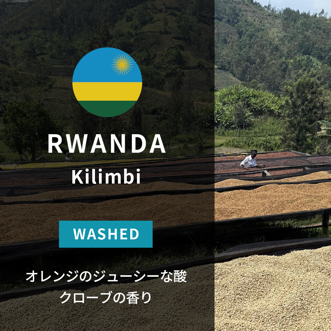 Rwanda Kilimbi A1 Washed(24/25年クロップ)