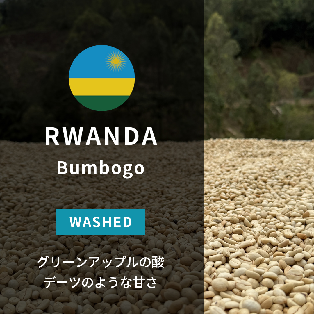 Rwanda Bumbogo A1 TOP Washed(24/25年クロップ)