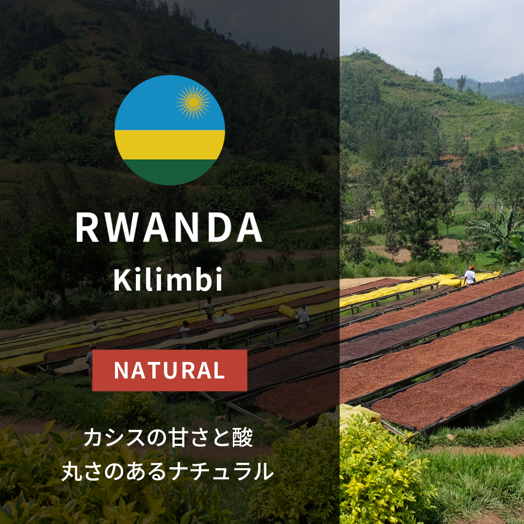Rwanda Kilimbi Natural(24/25年クロップ)