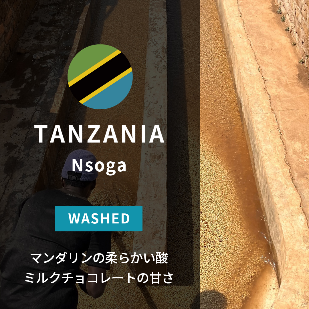Tanzania Nsoga Washed(25/26年クロップ)