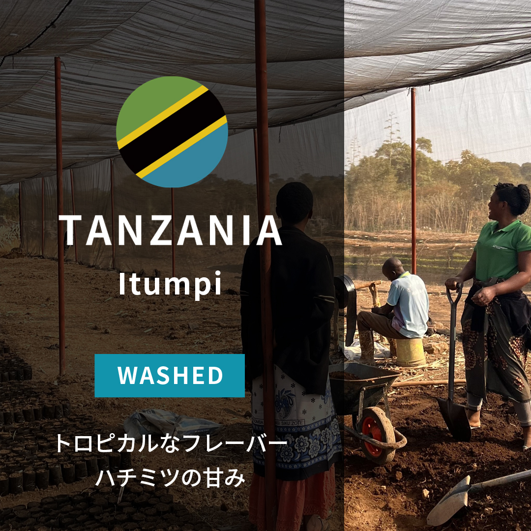 Tanzania Itumpi  Washed(25/26年クロップ)
