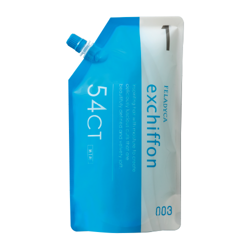 エクシフォン　54CT　3剤 