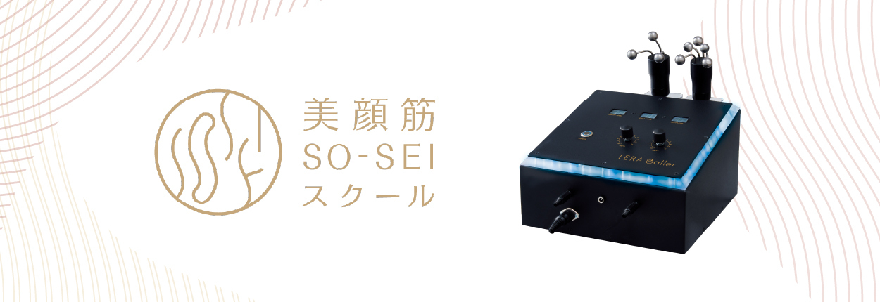 美顔筋SO-SEI