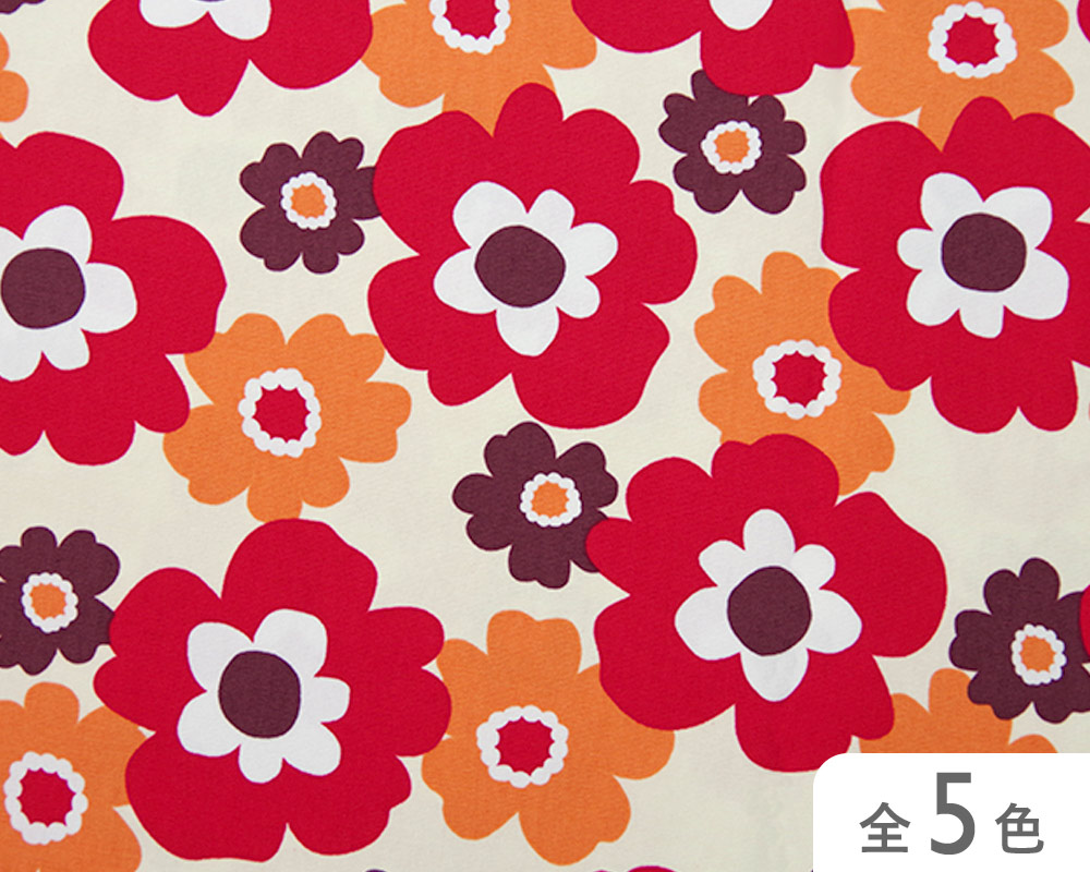 【36000-218】　リトルフフラ