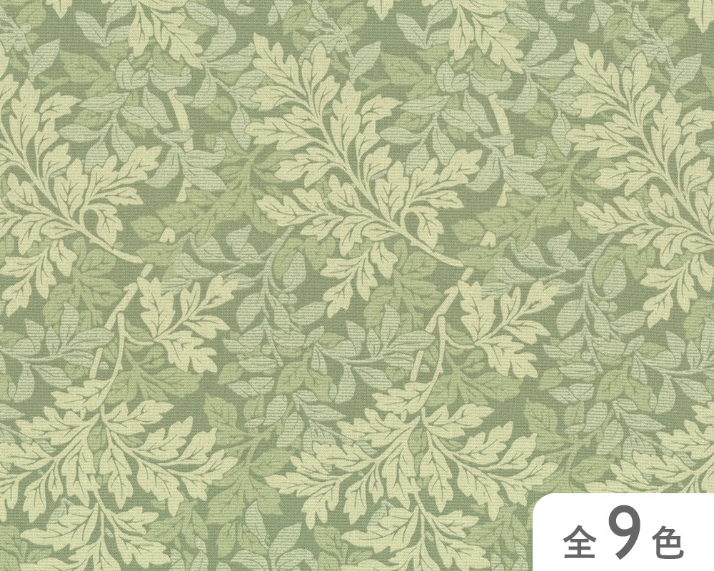 【36000-912】　アルベロ