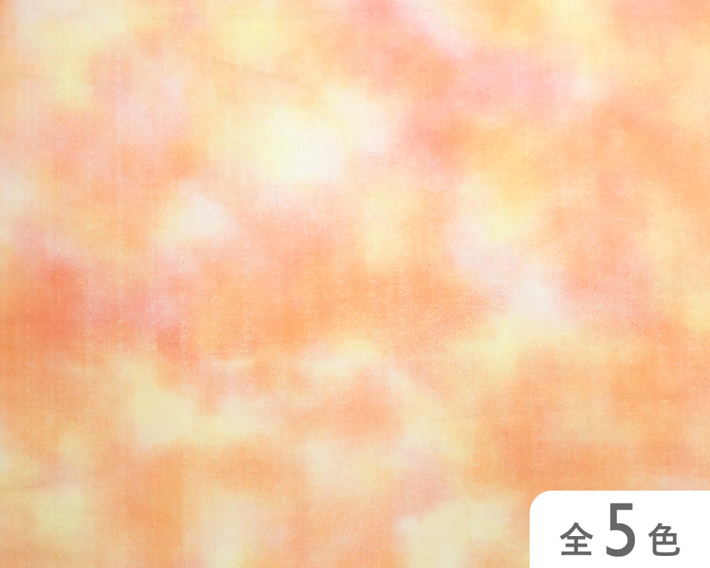 【41000-DG507】　DGアリエス