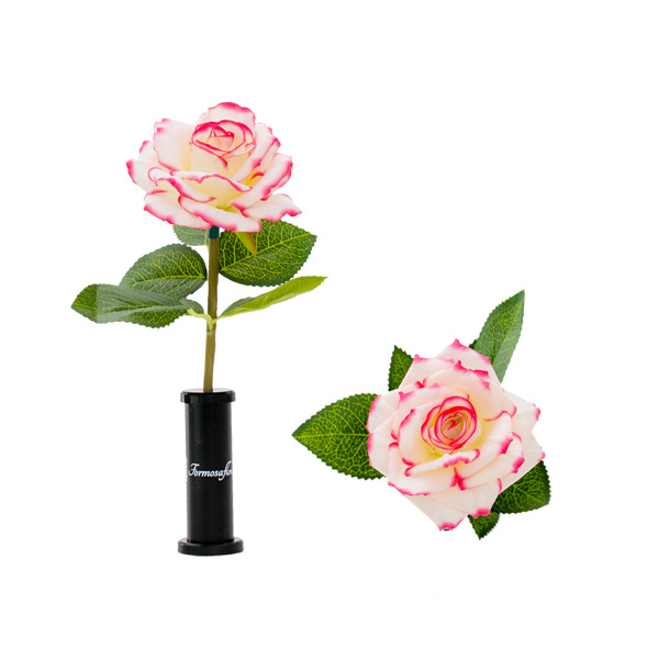 レインボーローズ