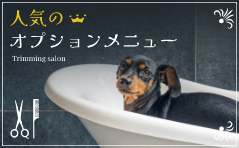 人気のオプションメニュー
