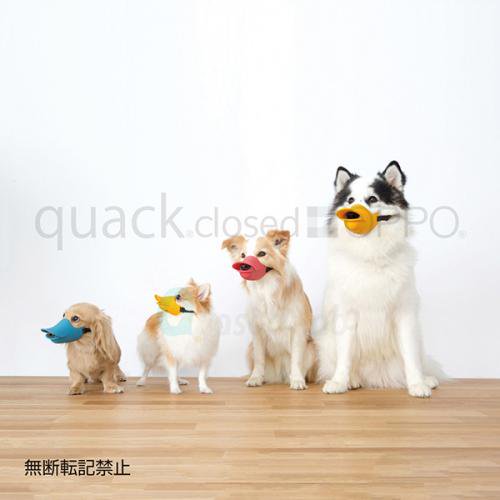 【OPPO】quack closed / オッポ　クァッククローズド　Sサイズ