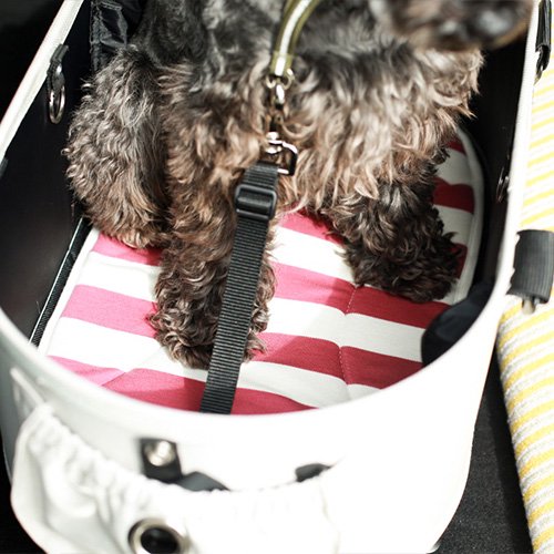 【Air Buggy for Dog】DOME MAT S / エアバギー ドーム専用マット S　＜全5色＞