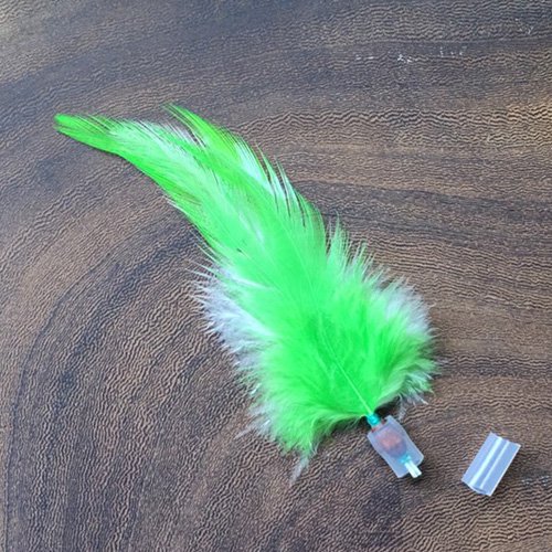 【REPLUS リプラス】Panash(パナッシュ) ダイドコック　ライトグリーン（数量限定）