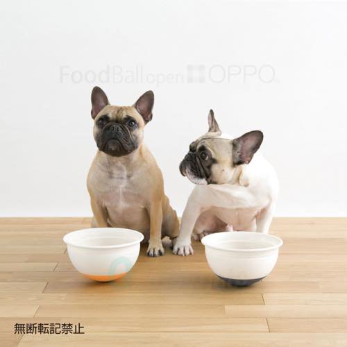 【OPPO】FoodBall open / オッポ　フードボール　オープン　ペチャバナ
