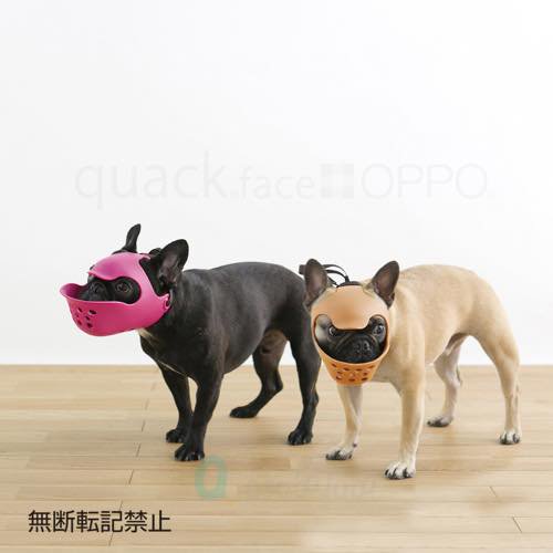 【OPPO】quack face / オッポ　クァックフェイス　Lサイズ