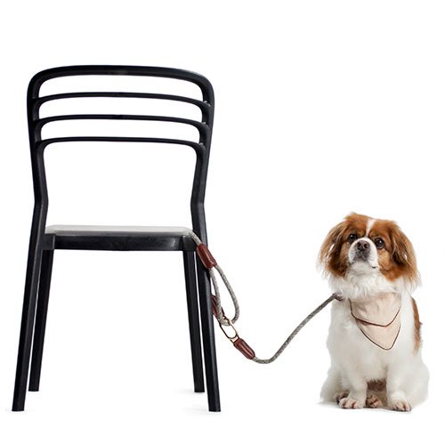 【HIGH5DOGS】クリックリード [ハイファイブドッグス]