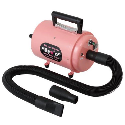 Hot Air Blower Byu2n（ビューン）