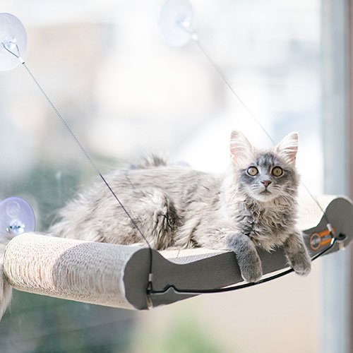 【 K&H Manufacturing】Kitty Sill EZ Mount Scratcher / キティシル イージーマウント スクラッチャー