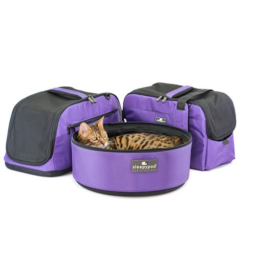 【sleepypod】スリーピーポッド　バイオレットカラー（数量限定）