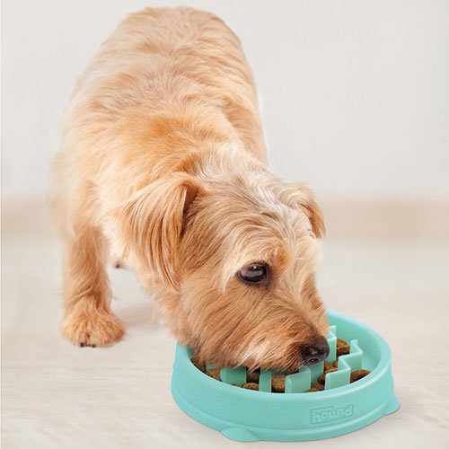 【Outward Hound】アウトワードハウンド　ファン&スロウフィーダーボウル　ミント（DADWAYPET / ダッドウェイペット）